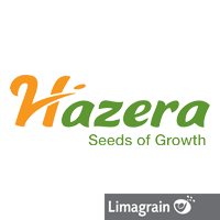 Hazera (logotipo)